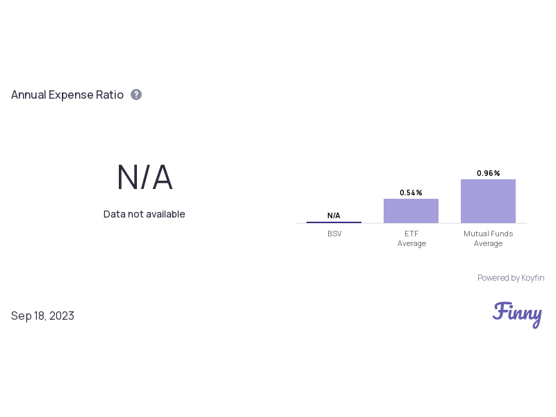 BSV expenses